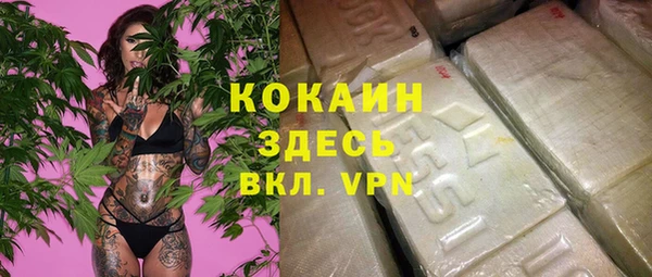 скорость Алексин