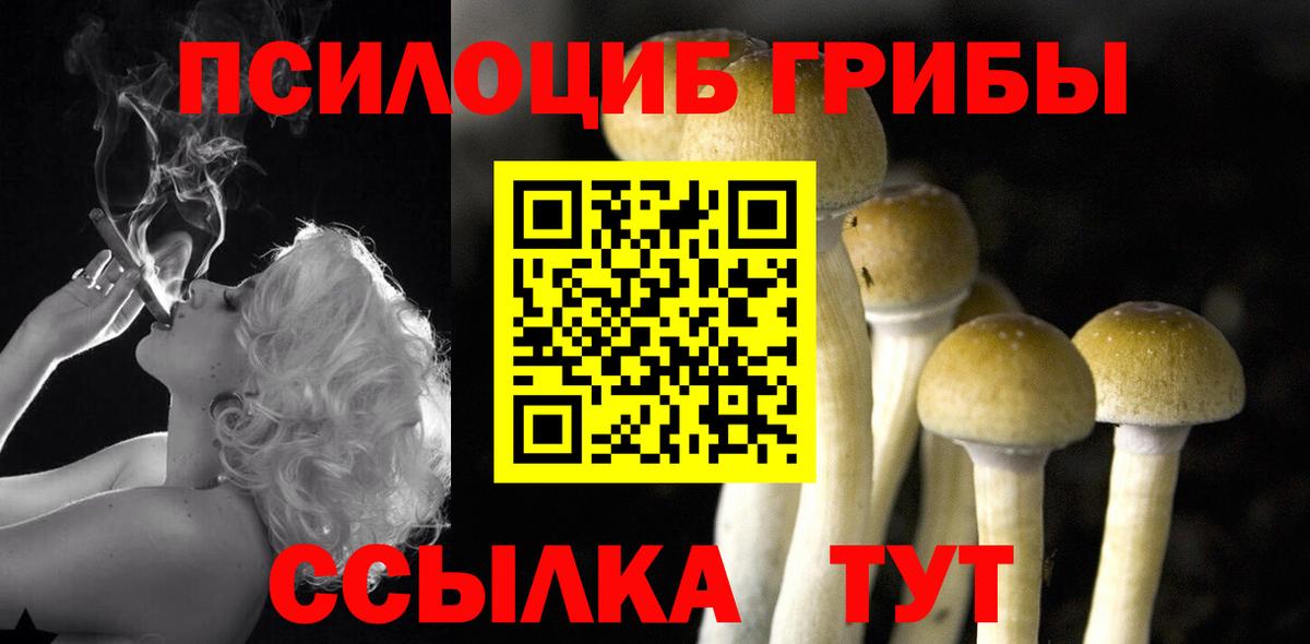 Псилоцибиновые грибы мицелий  Галлюциногенные грибы Magic Shrooms  Вход с VPN  Жуковский 